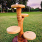 Natural Wood Flower holder: Handcrafted Acacia Eye-Catcher for Living Room or Garden