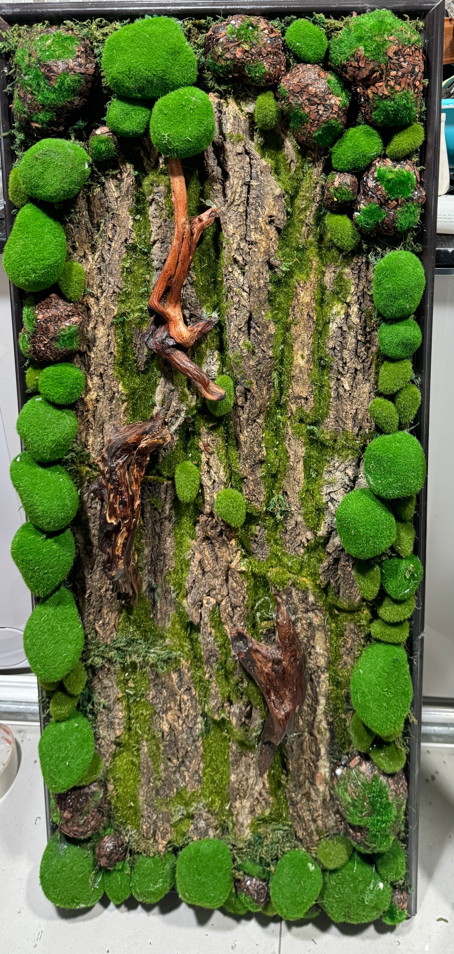 Moss Wall Art