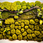 Moss Wall Art