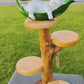 Natural Wood Flower holder: Handcrafted Acacia Eye-Catcher for Living Room or Garden