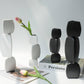 Sleek Ceramic Vase