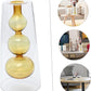 Hydroponic Clear Glass Vase, Decorative Container for Dry Flowers, Perfect Tabletop Decoration.