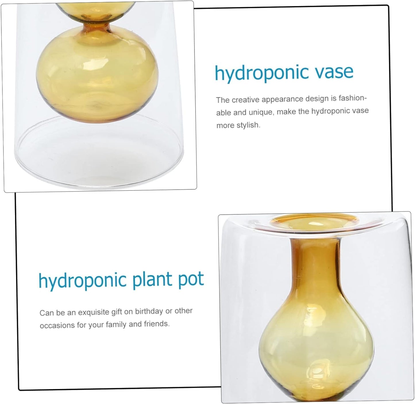 Hydroponic Clear Glass Vase, Decorative Container for Dry Flowers, Perfect Tabletop Decoration.