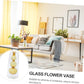 Hydroponic Clear Glass Vase, Decorative Container for Dry Flowers, Perfect Tabletop Decoration.