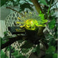LED Solar Flower Lights Outdoor Waterproof Decorative.